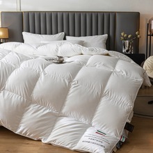 五星级匈牙利羽绒被95白鹅绒冬被加厚保暖春秋被子抗菌被芯鸭绒被