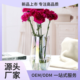 Scandinavian Ins Wind Electroplating Fantasy Vase Glass Transparent Living Room Flower Arrangement Simple Gradient Color Colorful Vase