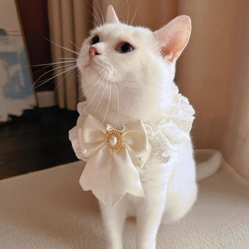 猫の首を囲むクリスマスのよだれレースのぬいぐるみペットの犬のマフラーの装飾の蝶ネクタイの猫の装飾品の犬のよだれかけ|undefined