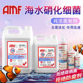 AMF硝化细菌液体活菌海水鱼缸水族开缸净水建立销化系统分解鱼便