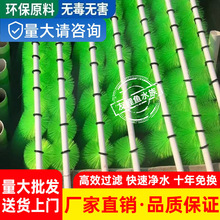 ���l�\���~��ëˢ����ʮ��304���P䓑���ͥԺ�~��ëˢ�^�V���ϾG