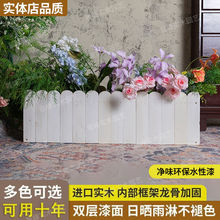 �������ľ�����L���β�ɫ�řڼ����߲˷Nֲ���̨ͥԺ���ۉ�����