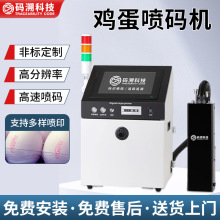 源头工厂蛋品类uv喷码机高速喷印流水线生产日期二维码喷码机现货