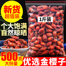 500gҰrƷӸ؛͌ișݾ