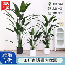 ����Gֲ�����B���˽��҃ȾGֲ���Է���ֲ����ؼҾӈ����b��쾰