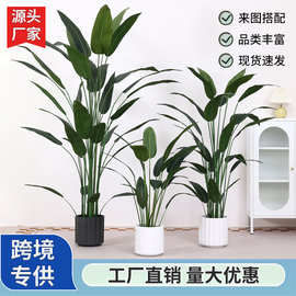 仿真绿植天堂鸟美人蕉室内绿植盆栽仿真植物落地家居场景装饰造景