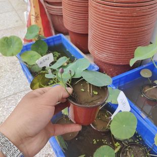 ������ɏ��Ʒ�玧�������Ժñ����^ѿ�^�pС�ɻ�����ֱ�l