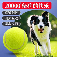 宠物网球玩具球金毛泰迪自嗨解闷好物小幼犬耐咬磨牙训练球巡回球