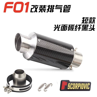 R1 Ninja400 LeoVince F02 | Exhaust pipe - f01-short-smooth-carbon-fiber-stainless-steel-head