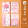 A5 car line book (peach juice)