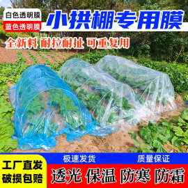 种菜小拱棚专用膜育苗薄膜果树四丝春季大棚塑料膜蔬菜种植无滴膜