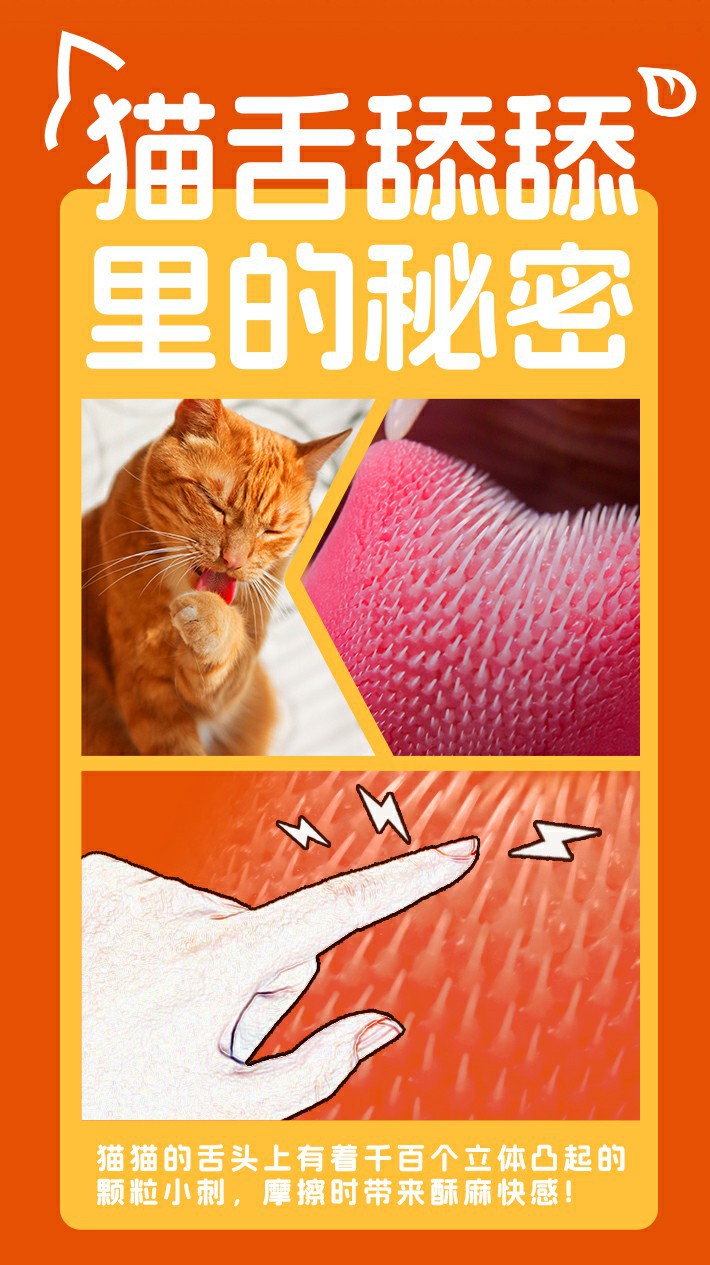 240531倍力乐-猫舌舔舔-详情页_03.jpg
