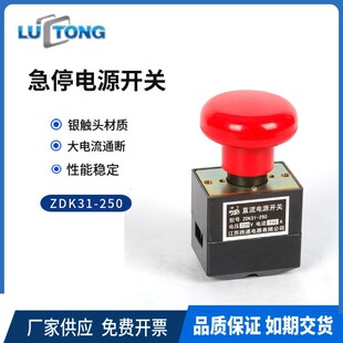 Original Supply Danhe Brand Road Emergency Stop Switch Forklift Power Off Emergency Power Switch ZDK31-250