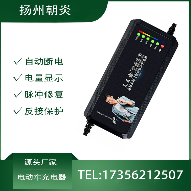 厂家工厂批发电瓶车三轮车电动车自动断电充电器电池脉冲修复器
