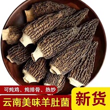 云南特产超大号羊肚菌菌菇干货农家野生新鲜煲汤厂家批发代发优质