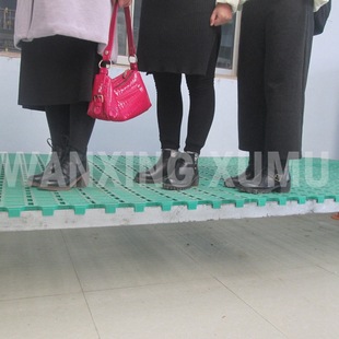 ������S�� ��©�S�� ��ɽ�� ������ �߳���300kg��S��