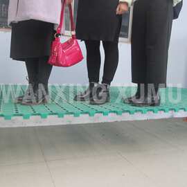 羊粪板批发塑料羊床坚固羊粪板羊床图片规格60*50cm