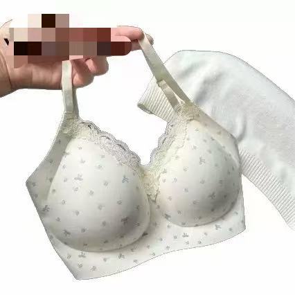 Prendas íntimas originales de estilo francés para mujeres que se reúnen pecho pequeño sin marcas sin anillo de acero sujetador de encaje fijo taza integral de espalda hermosa sujetador image 5
