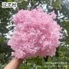 Light soft powder