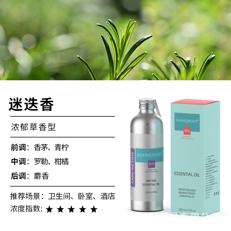 로즈마리(두꺼운