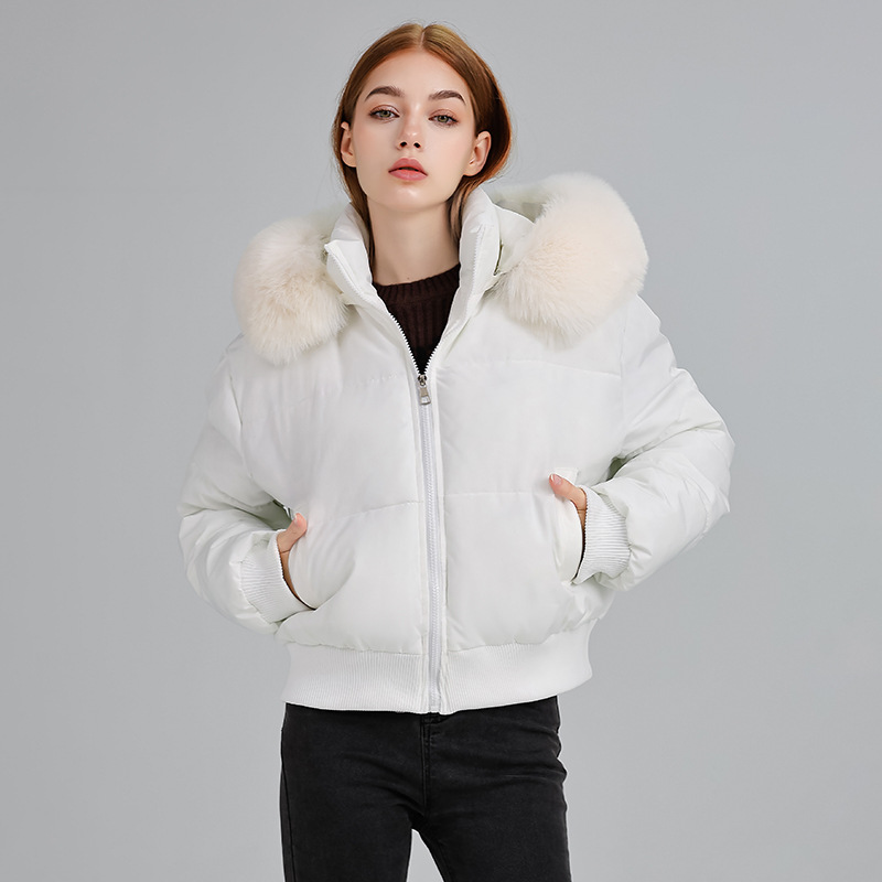 Comercio exterior diseño de algodón con cuello encapuchado mujer invierno 2025 nuevo grueso calentamiento corto chaqueta de pan image 8