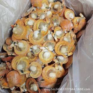 �ɶ����l�뚤�S����ؐ16��  ����S��ؐ �����;Ƶ�ʳ��