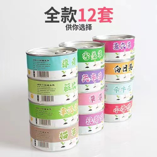 ֲСװֲֹ ޻ħ칫ֲ