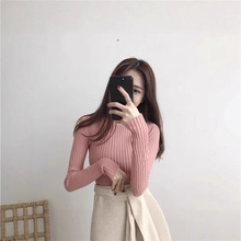 �nϵ���e������ᘿ�����T��ɼ���Ů2025�ļ��¿��OӋ������