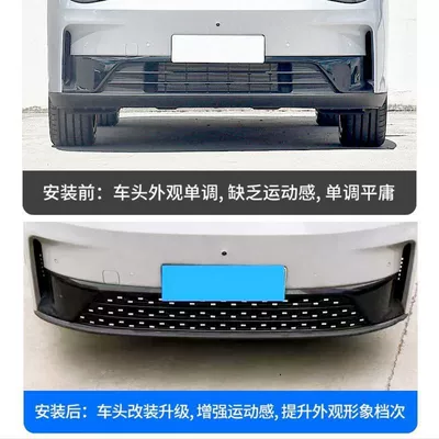 Modified Leapmotor C10 Electric Range Extender | Automobile anti-insect net