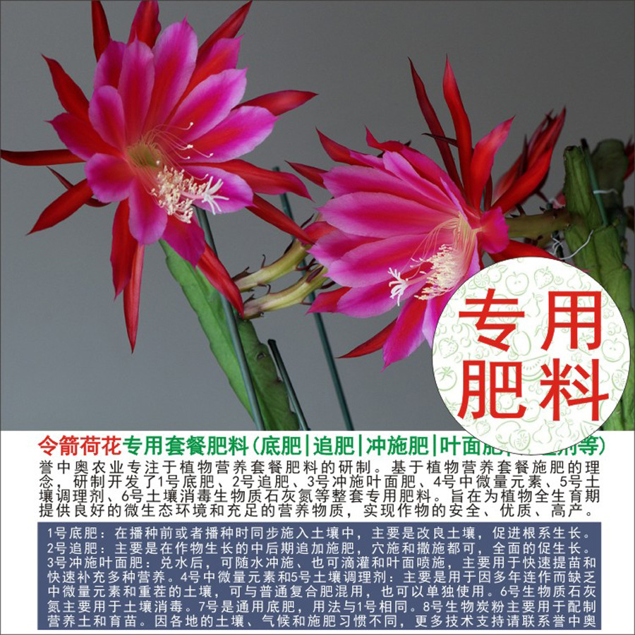 1-50斤誉中奥令箭荷花专用有机肥复合肥底肥追肥叶面肥冲施肥水溶