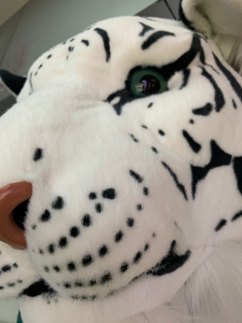 a11bd776da0eb37e6e128dc1944f4a