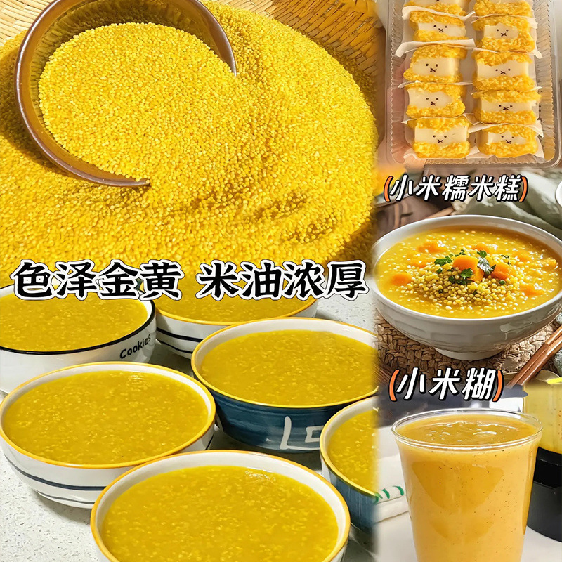 黄小米、新米、雑穀粥、産後用の新炊き粥、5斤の雑穀、農場で栽培された食用米|undefined