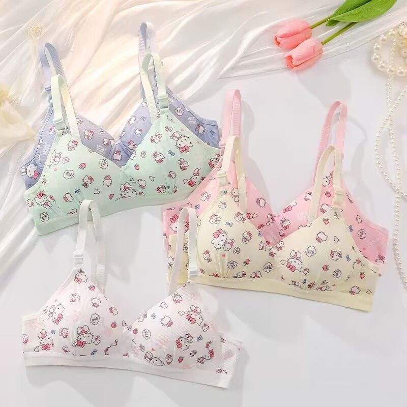 Sweet KT Cat Underwear Women's Small Chest Push-up Anti-sagging Student Girl's Thin Breathable Cute Bra without Steel Rings
