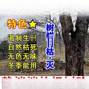 ��䠀��ș��������g����������ݹ�ľ���ӿݘ���ԣ�j��