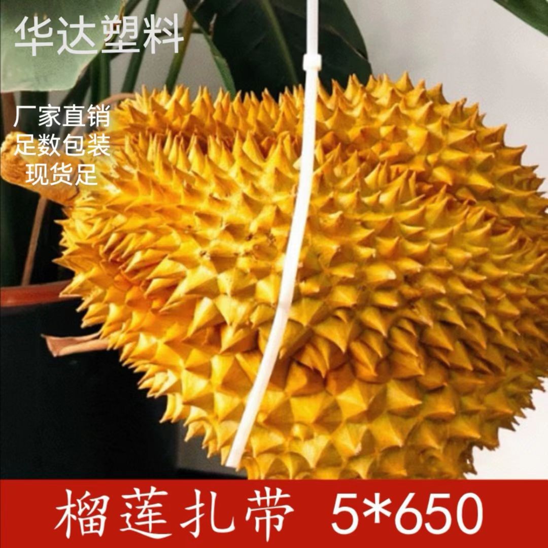 华达厂家销售自锁式塑料扎带 尼龙扎带 扎线带5*650 250条捆线带