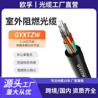 室外轨道光缆GYXTZW-6b1中心束管式阻燃单模6芯光纤