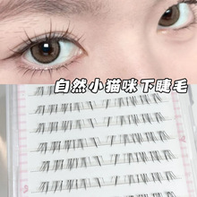 ����е�����½�ë؈ϵ�֮��������Н����pб�w�޽ӂ����