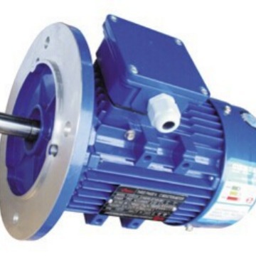 THREE PHASE INDUCTION MOTOR电机YSJ8024-1HS YSJ7114-1HS