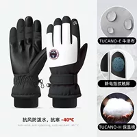 Шаньдун Jining лыжные перчатки зимний сенсорный экран для езды на открытом воздухе водонепроницаемые теплые и холодные лыжные перчатки для взрослых