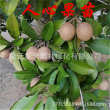 ����Խ�����Ĺ���������ļ�ܛ֦�ϱ����޽����Ĺ����Ե������Ĺ�