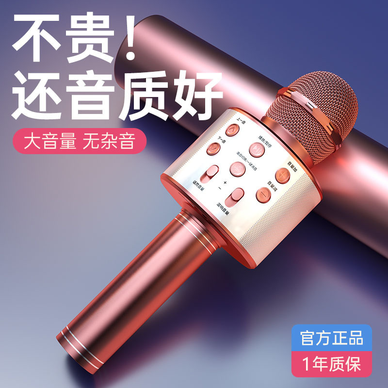 858 Microphone/Mic All-in-One Wireless Bluetooth Karaoke Device for Mobile Singing Live Streaming - Direct Manufacturer Sales and Wholesale