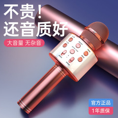 858 Microphone/Mic All-in-One Wireless Bluetooth Karaoke Device for Mobile Singing Live Streaming - Direct Manufacturer Sales and Wholesale