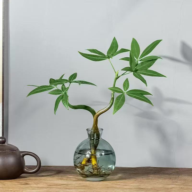 Cây Tiền Vui Nhộn Cực Đôi + Chai Nhỏ Màu Xanh Sang Trọng Nhẹ