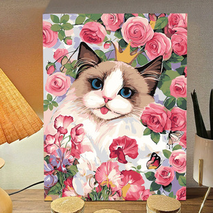 õ�岼ż؈�����ͮ�diy���L��ɫ����ǿ�؈��ϩ�b��S�����l