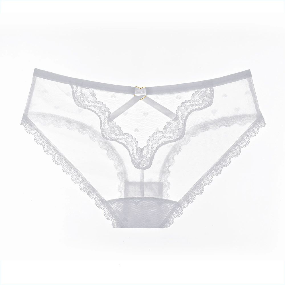 Трусики нижнее белье Hipster SEXY LACE BRIEFS для женщин
