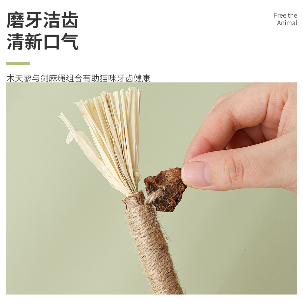 Polygonum multiflorum catnip molienda palo insecto hiel fruta gato divertido palo diente limpieza palo gato juguete silvervine palo