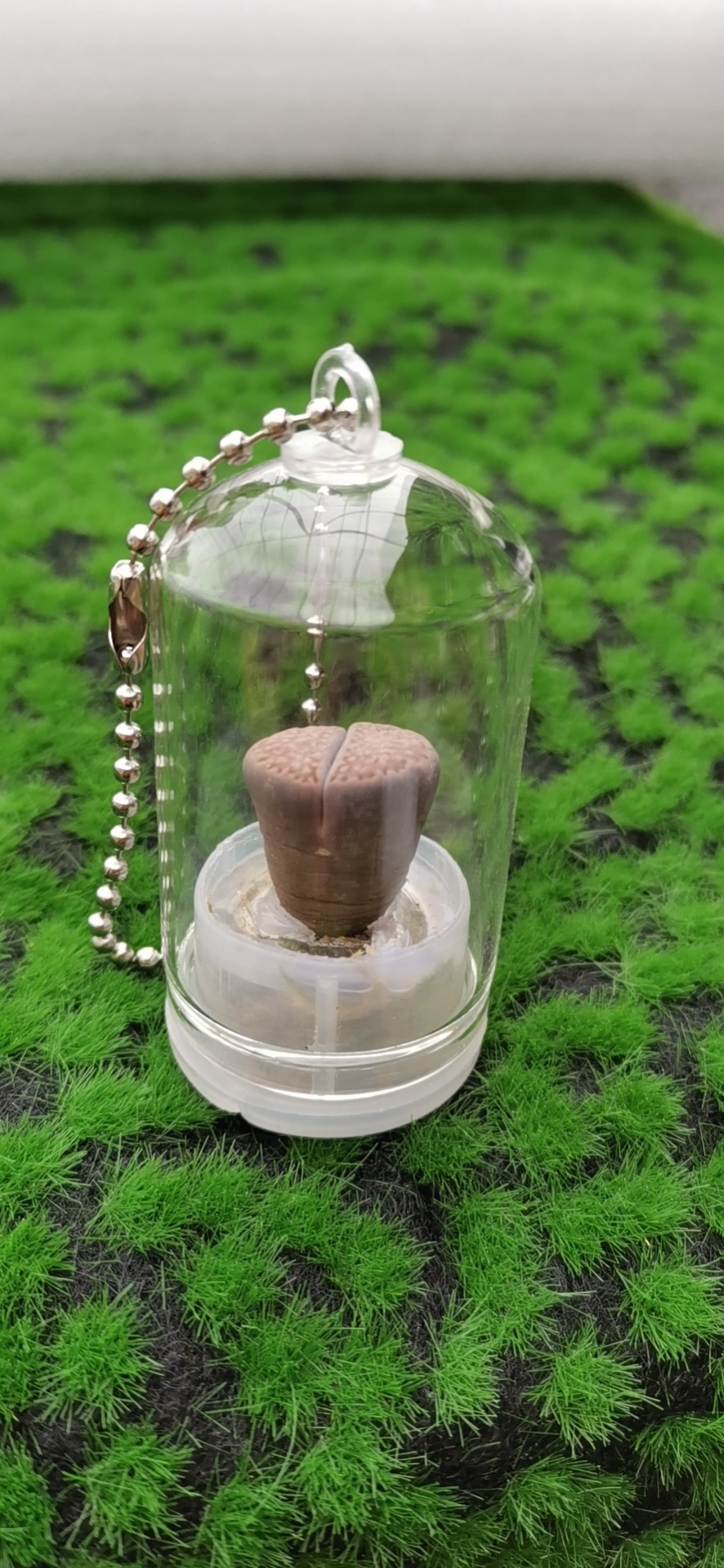 微信图片_20221120113541