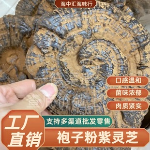 ������ș�ĸ�؛�`֥���ӷ����`֥500g�Ҝ���ˮ�B�����aʳ��