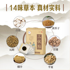 Factory Wholesale Three-Season Plaster Adult and Children Universal Type mugwort Three-Season Plaster Acupoint Health Care Specialty Plaster Medicinal Plaster Three-Season Plaster