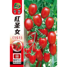 ֭}ŮNӼtСǧСљtļ